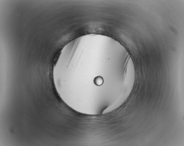 X0000116650233201001041056