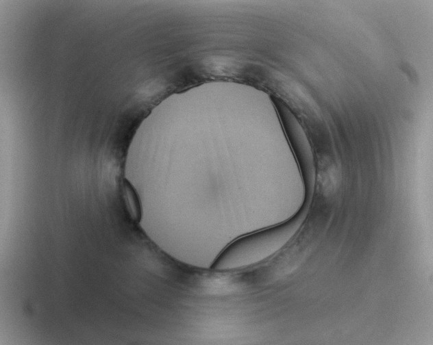 X0000116650235201001041056