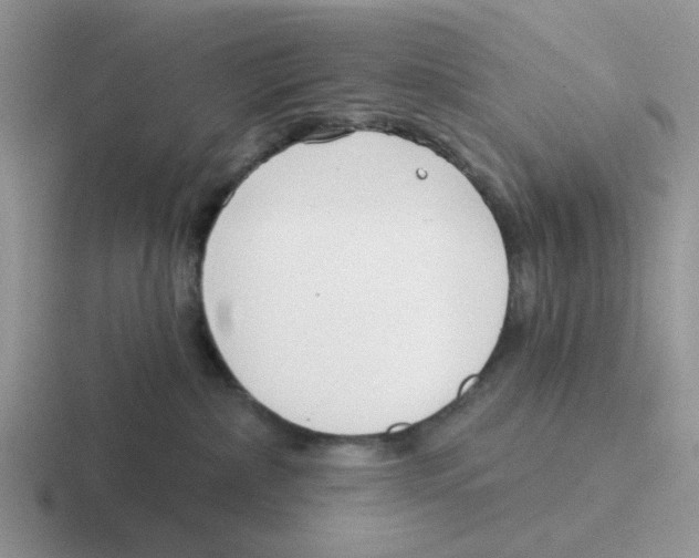 X0000116650236201001041056