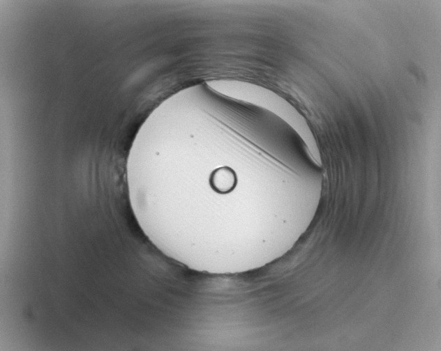 X0000116650237201001041056