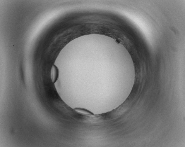 X0000116650239201001041056