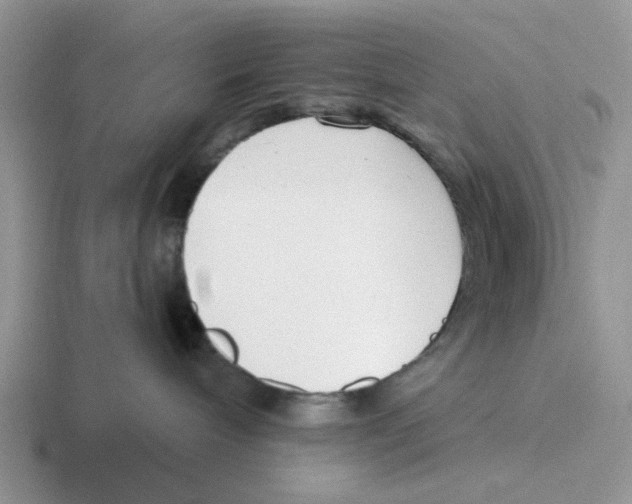 X0000116650240201001041056