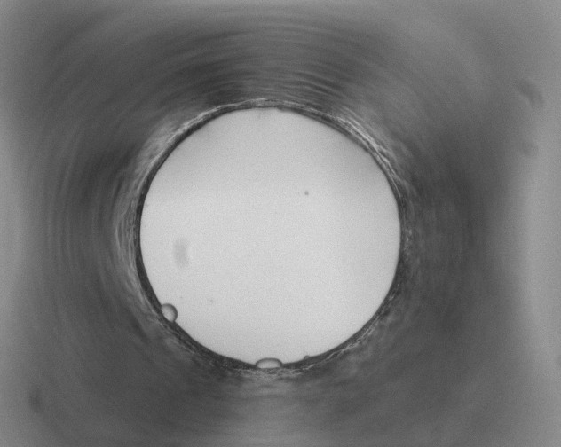 X0000116650241201001041056