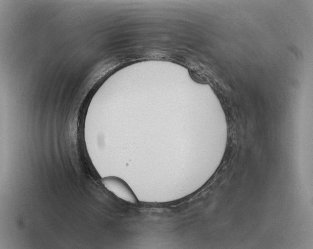 X0000116650242201001041056