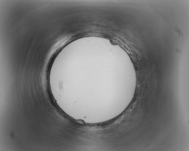 X0000116650245201001041056