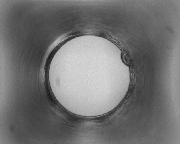 X0000116650246201001041056