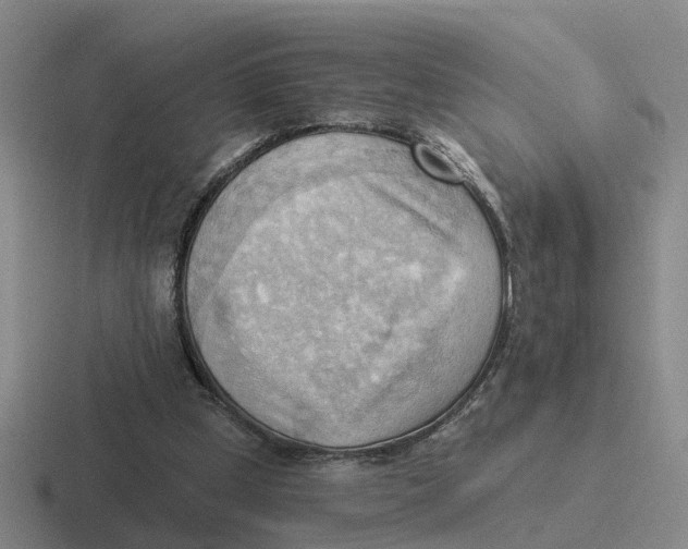 X0000116650249201001041056