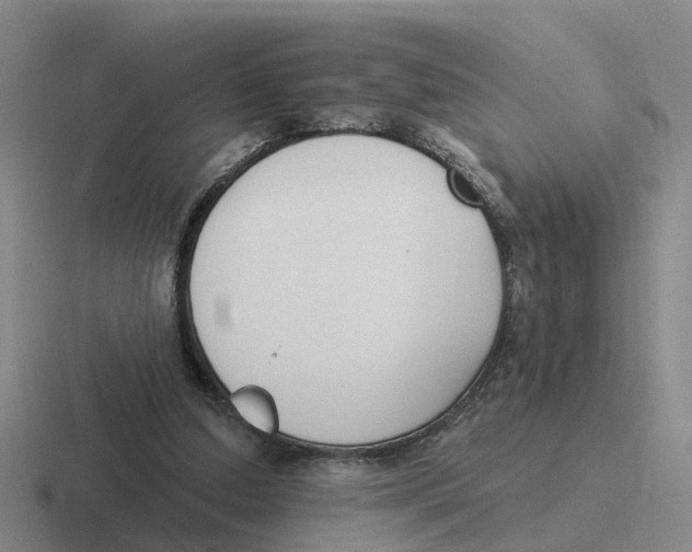 X0000116650250201001041056