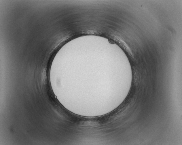 X0000116650251201001041056