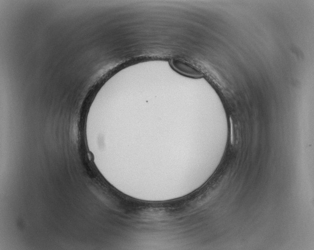 X0000116650252201001041056