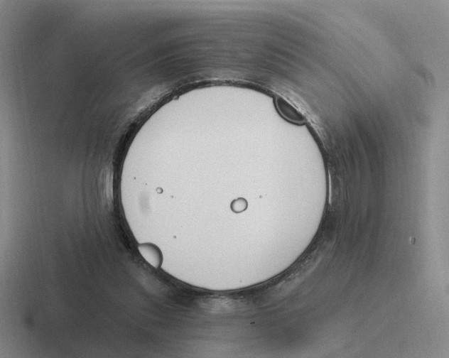 X0000116650253201001041056