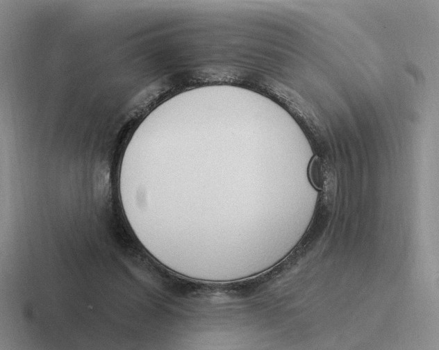 X0000116650254201001041056