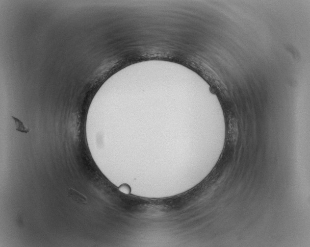 X0000116650255201001041056