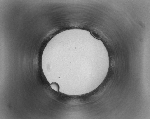 X0000116650256201001041056