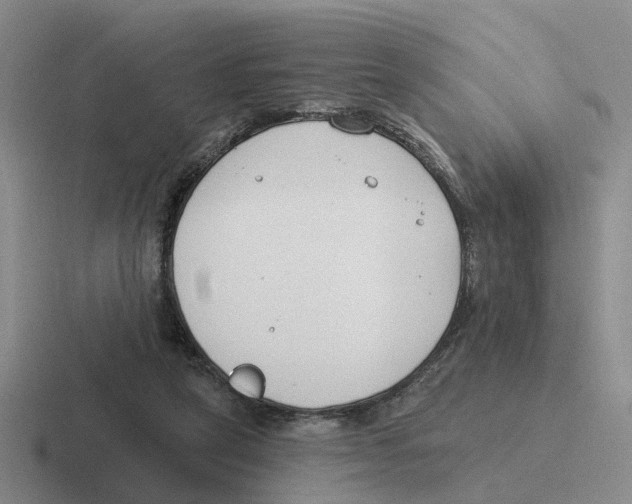 X0000116650257201001041056