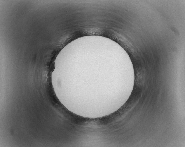 X0000116650259201001041056