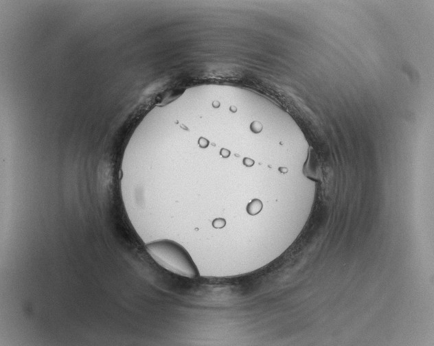 X0000116650260201001041056