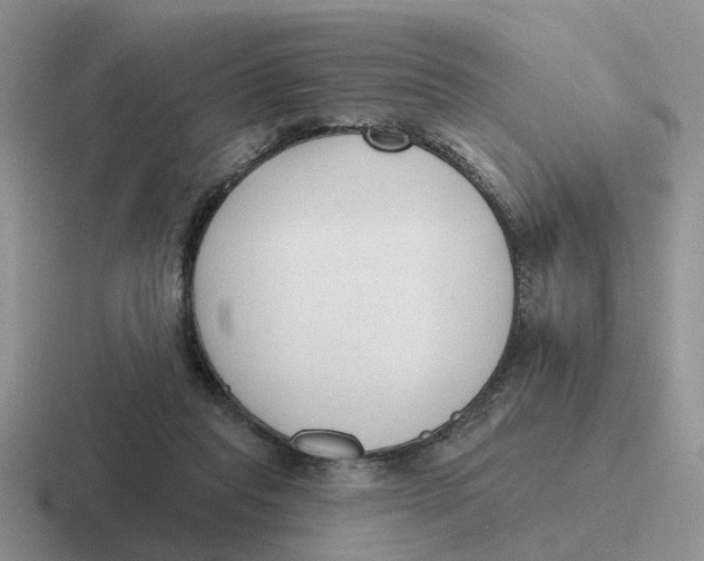 X0000116650261201001041056