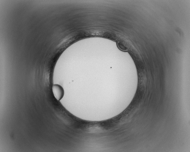 X0000116650262201001041056