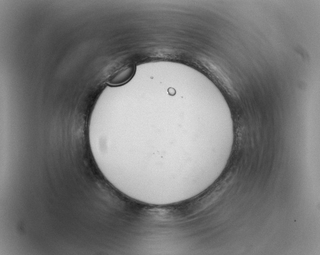 X0000116650265201001041056