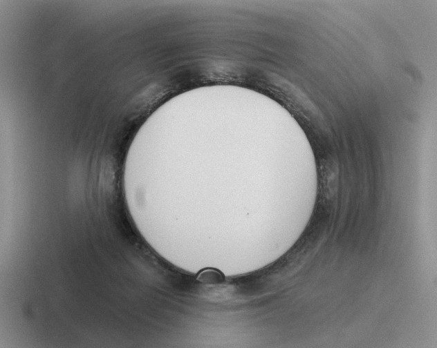 X0000116650266201001041056