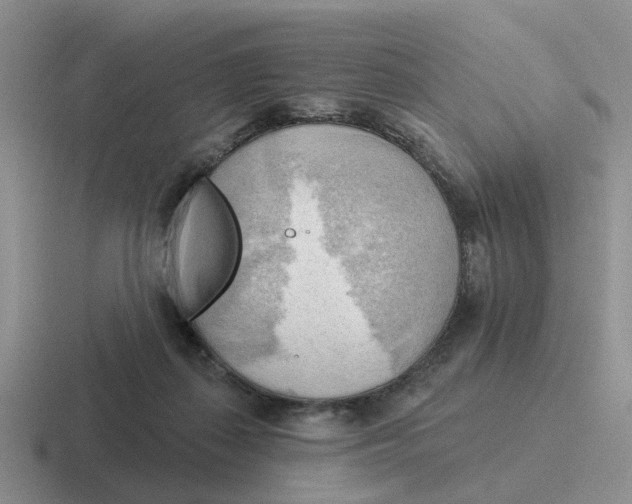 X0000116650267201001041056