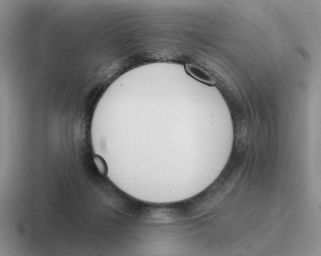 X0000116650268201001041056