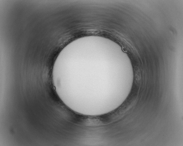 X0000116650270201001041056