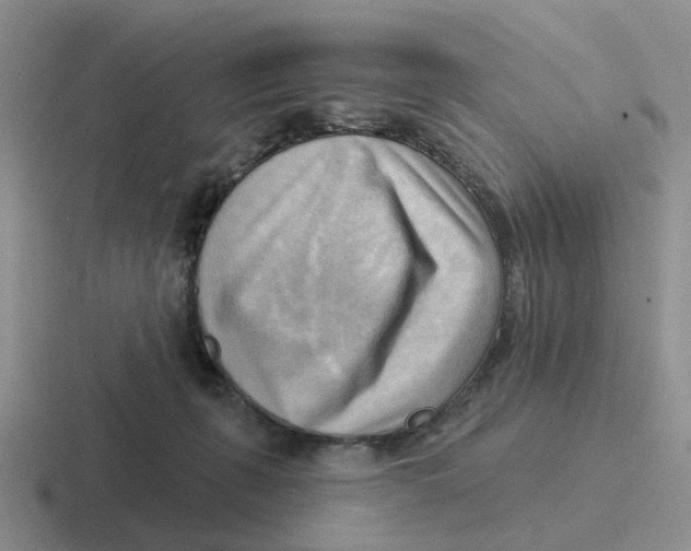 X0000116650271201001041056