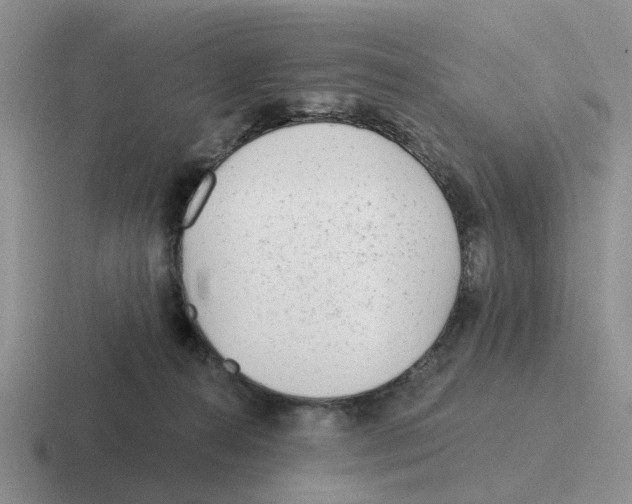 X0000116650272201001041056