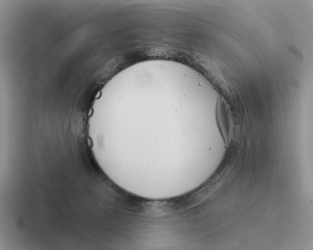 X0000116650273201001041056