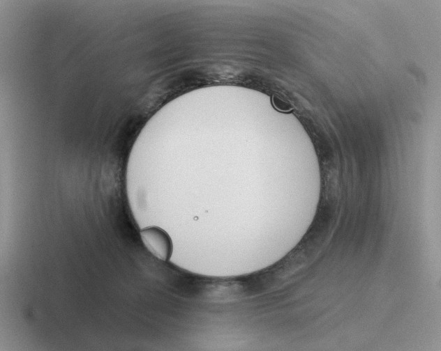 X0000116650274201001041056