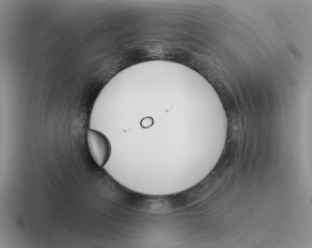 X0000116650275201001041056