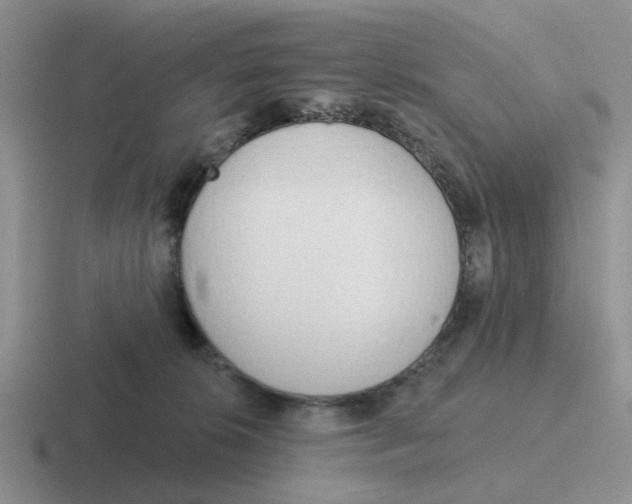 X0000116650276201001041056