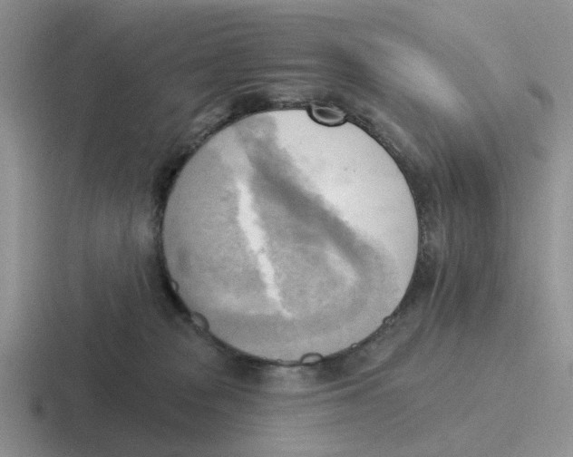 X0000116650277201001041056