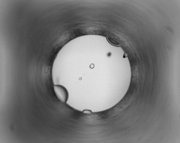 X0000116650278201001041056