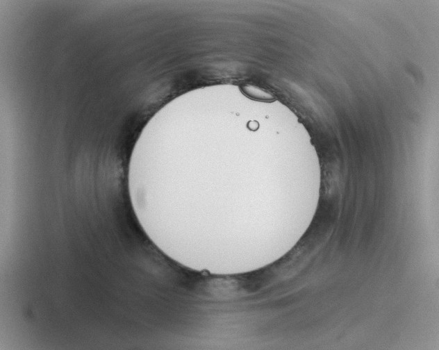 X0000116650279201001041056