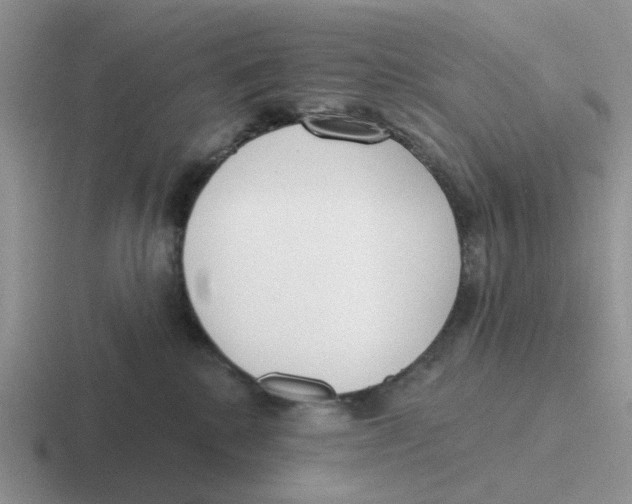 X0000116650280201001041056