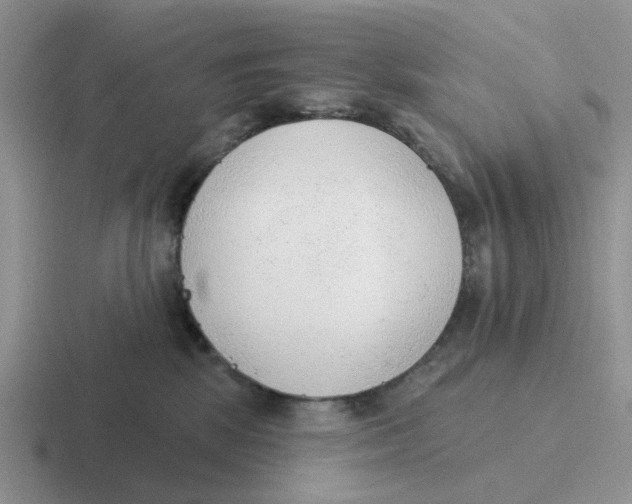 X0000116650281201001041056