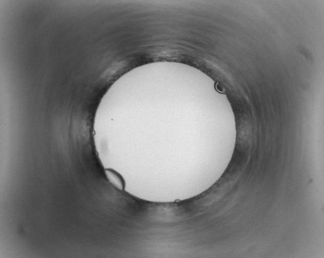 X0000116650282201001041056