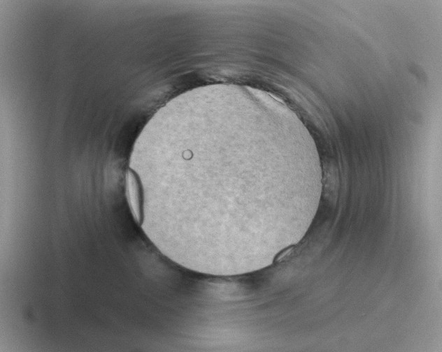 X0000116650284201001041056