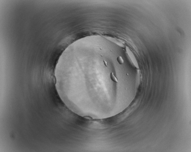 X0000116650285201001041056