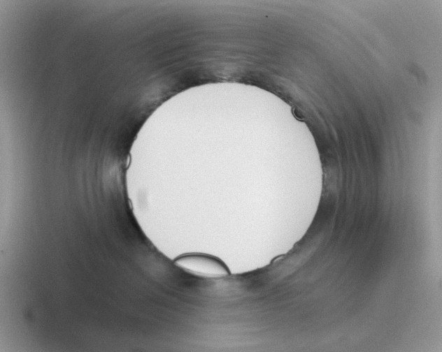 X0000116650286201001041056