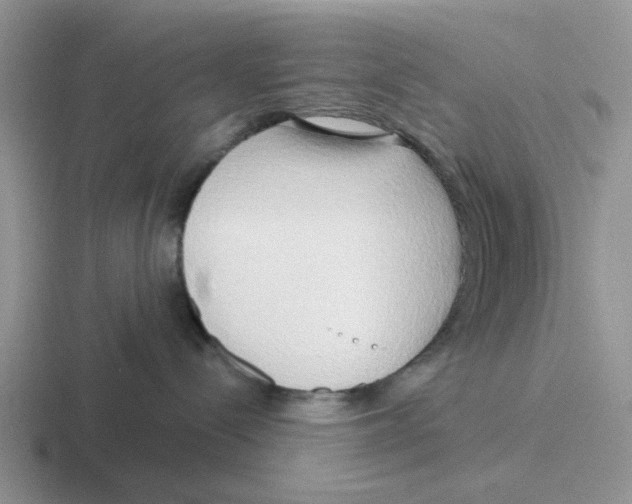 X0000116650288201001041056