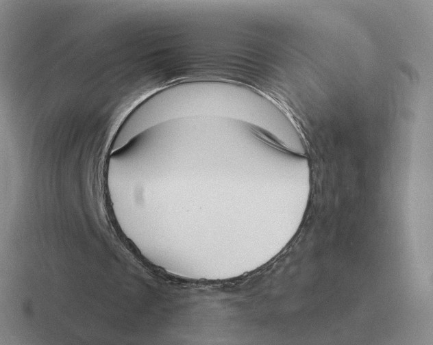 X0000116650289201001041056