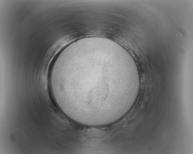 X0000116650290201001041056