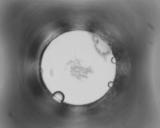 X0000116650293201001041055