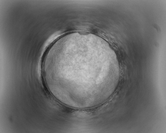 X0000116650294201001041055