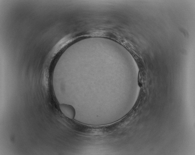 X0000116650295201001041055