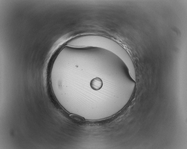 X0000116650296201001041055